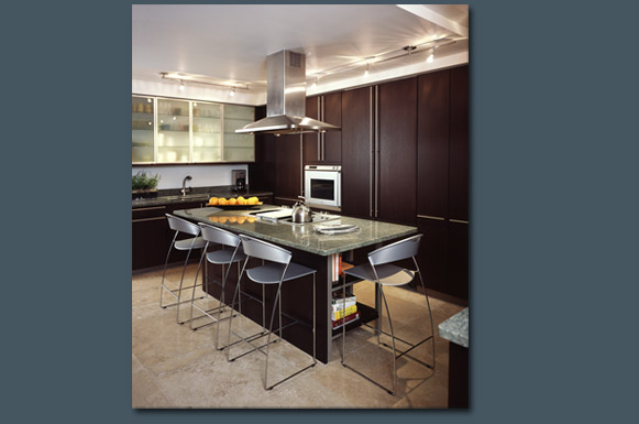 Lake Shore Drive Condo 1